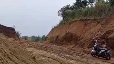 Tanah di Puncak, Bogor. Luas 1.351 Ha