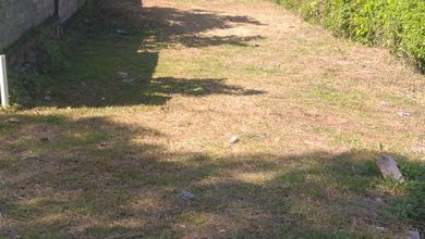 Jual Lahan Pantai Bali