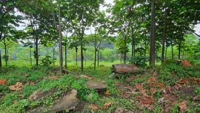 Dijual Tanah Di Wonosobo Jateng