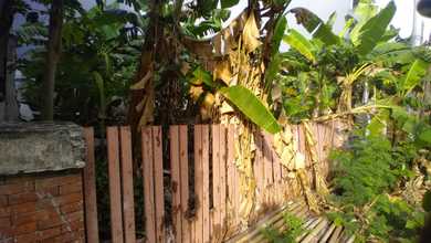 Kavling Luas Lokasi Favorit Di Pluit Timur Jakarta Utara