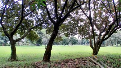 DIJUAL TANAH/KAVLING EMERALD COVE-SUMMARECON SERPONG (414m2)