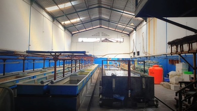 Dijual Gudang Kapuk Kamal Strategis Gudang Di Jl. Kapuk Kamal Raya No. 8, Cengkareng Timur, Cengkareng, Kota Jakarta Barat, Dki Jakarta, Indonesia, 11730, Kapuk Kamal Unfurnished Shm 645.0 M²