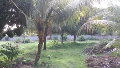 Dijual Tanah di Bali Jembrana Strategis Ad Villa dan Pantai