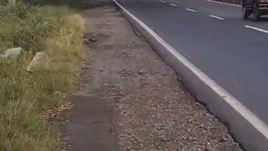 Di Jual Tanah Padat Pinggir Jalan Pantura Dekat Pelabuhan Patimban