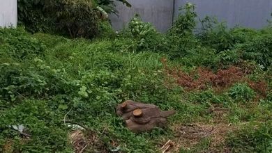 Di Jual Tanah Kavling Harga Di Bawah Njop