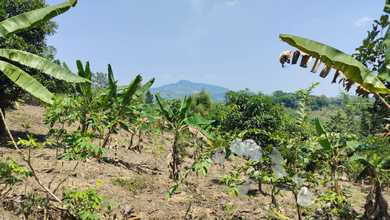 Dijual Tanah di Citeureup Bogor