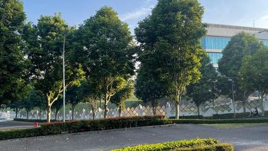 ********.parahyangan