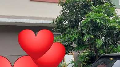 Rumah Dayana Summarecon Dijual Di Bawah Appraisal Langka 