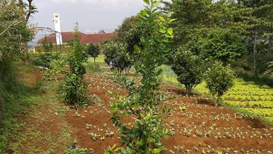Tanah Lembang Dekat Villa Roro Luas Strategis Jual Cepat