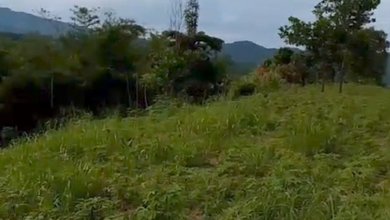 Dijual Bu Tanah di Sukajaya Bogor