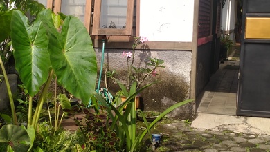 Jual Rumah Kalijati Antapani Bandung, Nyaman,Tenang Murah