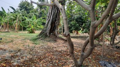 Dijual Tanah di Arya Kemuning Bayur blkang bandara soetta Tangerang lt 1300