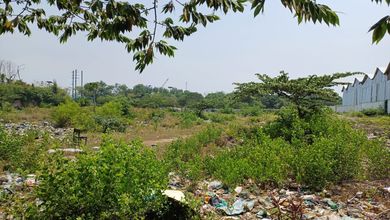 Disewakan Tanah Di Kapuk Kamal Lt 8000, Akses Cont 40 Feet