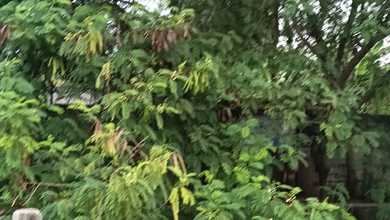 Dijual Kavling Di Daan Mogot Km 14 