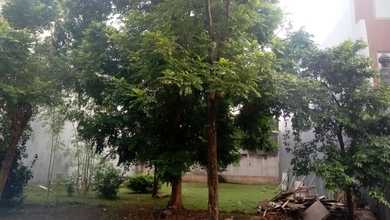 Spesialis Kavling Pik 1 luas 555 M2 