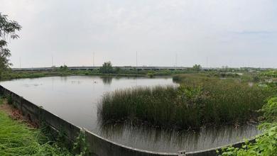 Tanah di Cilincing Jakarta Utara Luas 11.832 M2