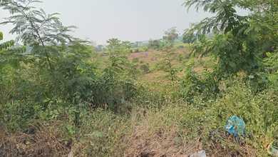 Tanah di Jalan Raya Pantura Serang Luas 21986 M2