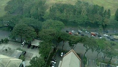 Tree Park Apartment 1BR Bagus dan Siap Huni