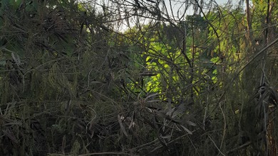 Jual Cepat Tanah di pembangunan daan mogot, Batu Ceper