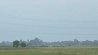 Dijual Tanah di Sukamekar Bekasi, Luas 2ha