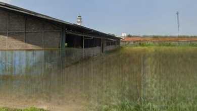 Dijual Ex Pabrik. Pancatama Serang