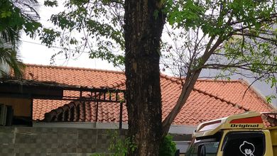 Jual Cepat! Rumah Di Raya Tomang, Jakarta Barat