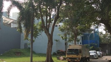 Kavling Pik Area Kuda Laut Mediterania Langka