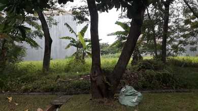 Kavling Pik Walet Ukuran Kecil Dan Langka