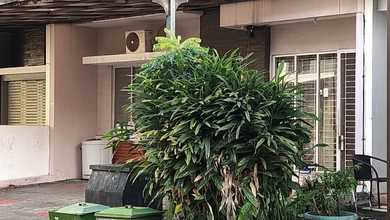 Disewakan Cepat Rumah Purimansion Harga Bagus Siap Huni