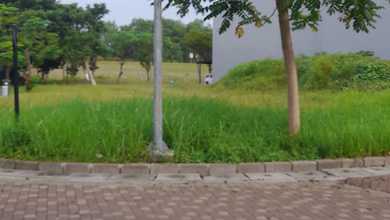 Dijual Kavling Golf Island Pantai Indah Kapuk Cluster Serenade Type Hoek Luas 382M2 Lokasi Bagus!!