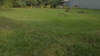 Kavling/Tanah siap bangun 648m2, Cluster nyaman Pantai Indah Kapuk PIK,NEGO!