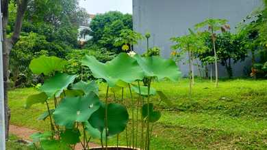 DIJUAL CEPAT Kavling lotus indah, pik.