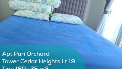 Apartement Puri Orchard Tower Cedar Heights Wing A Lt 19, 1BR, Semi Furnished