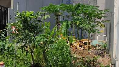 Dijual Tanah Grisenda