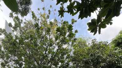 Kavling Katamaran Permai  PIK 1, Lokasi Bagus dan Jarang ada