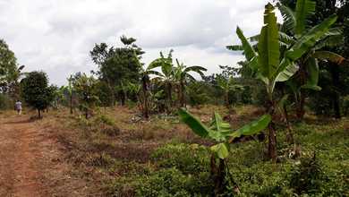  Dijual Tanah di Jonggol Bogor