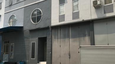 GUDANG ELANG LAUT PIK