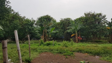Tanah Jalan Raya Lingkar Luar Taman Pale,.cengkareng, Jakarta Barat