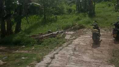 Kavling Tanah Lokasi Bagus 