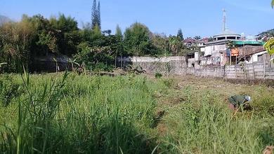Tanah Kebun Di Padarincang Palasari Cipanas Jawa Barat